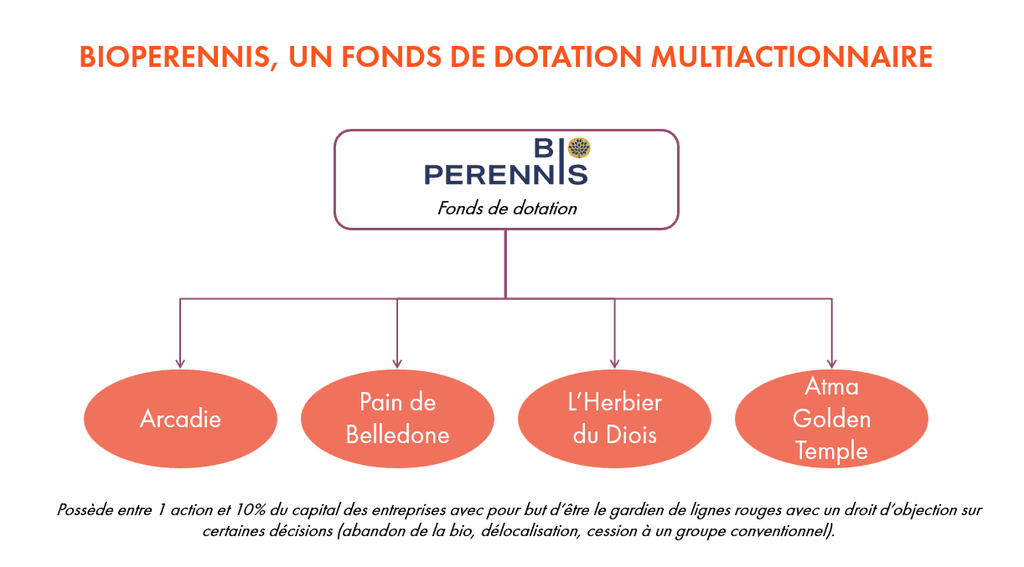 L'exemple du Steward-Ownershipde BioPerennis avec une fondation multiactionnaire.